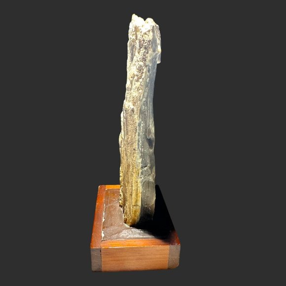PETRIFIED WOOD NORTH DAKOTA BADLANDS ON VINTAGE HANDMADE STAND - Picture 4 of 12